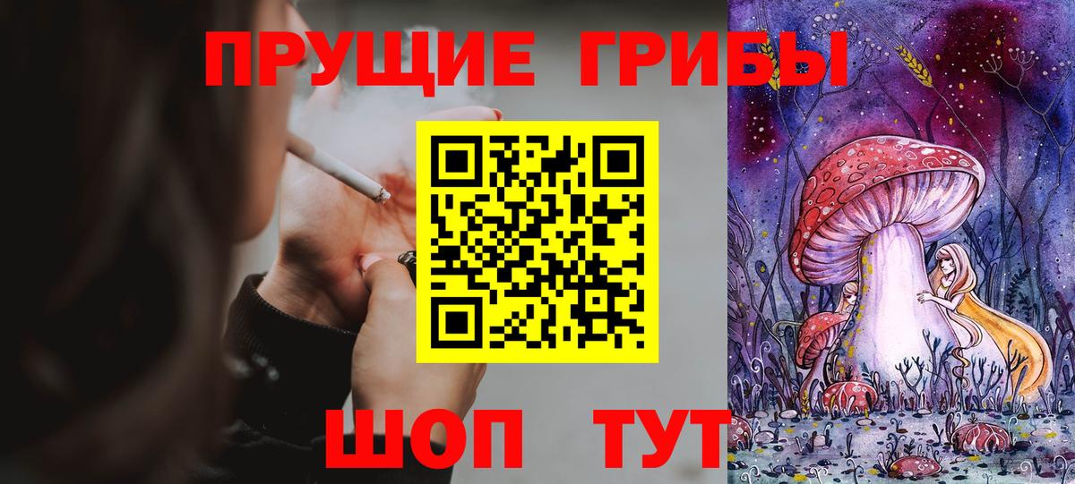 Псилоцибиновые грибы Psilocybine cubensis Мурино