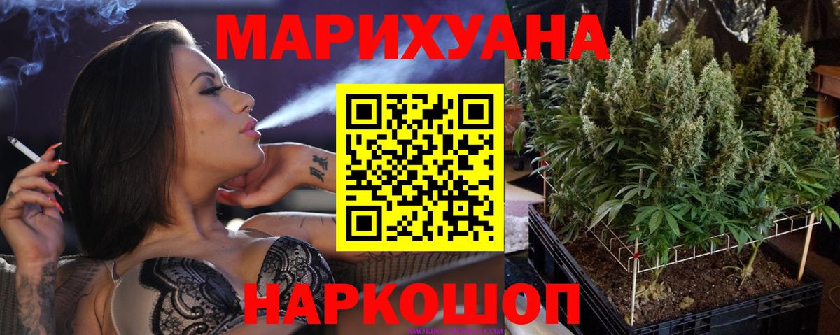 Шишки марихуана семена  Конопля OG Kush  Вход с VPN  Мурино 